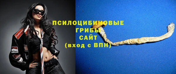хмурый Арсеньев