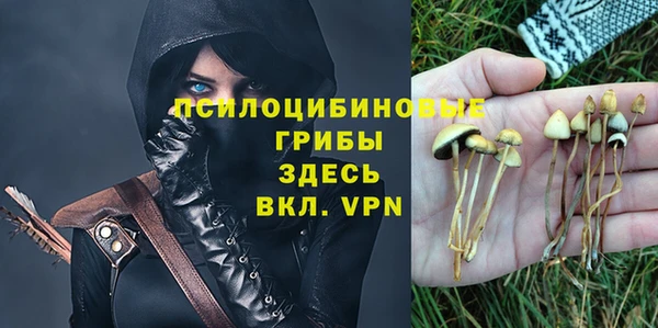 крисы Армянск