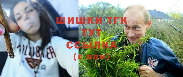 хмурый Арсеньев