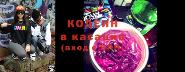 хмурый Арсеньев